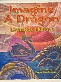 Imagine a Dragon (Hardcover)