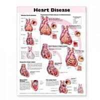 Heart Disease Anatomical Chart (Other, 2)