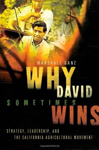 Why David Sometimes Wins: Leadership, Organization, and Strategy in the California Farm Worker Movement (Hardcover)