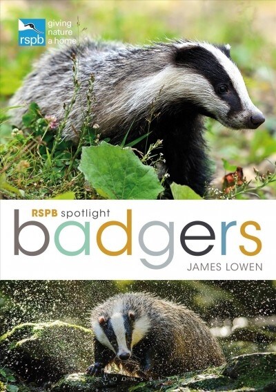 RSPB Spotlight: Badgers (Paperback)