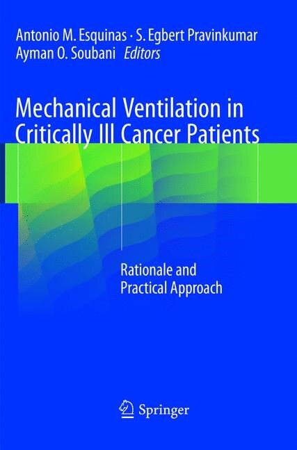 Mechanical Ventilation in Critically Ill Cancer Patients: Rationale and Practical Approach (Paperback, Softcover Repri)