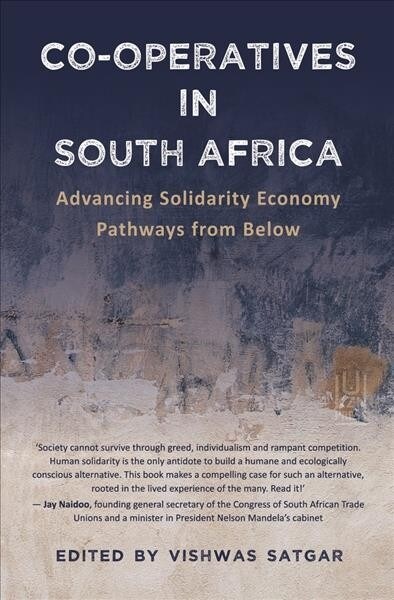 Co-Operatives in South Africa: Advancing Solidarity Economy Pathways from Below (Paperback)