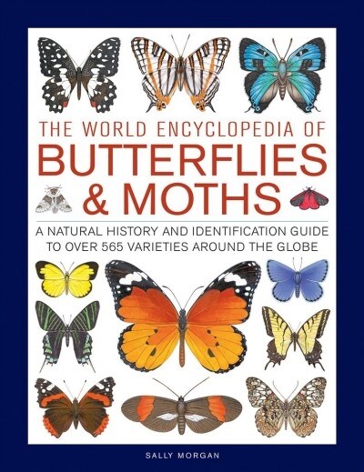 Butterflies & Moths, The World Encyclopedia of : A natural history and identification guide to over 565 varieties around the globe (Hardcover)