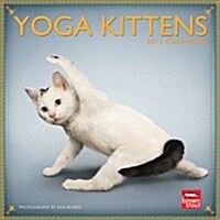 Yoga Kittens Calendar 2013 (Paperback, Mini, Wall)