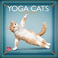 Yoga Cats 2013 Calendar (Paperback, Wall)