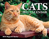 Cats 2013 Mini Box (Paperback)