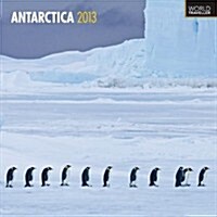 Antarctica 2013 Calendar (Paperback, Wall)