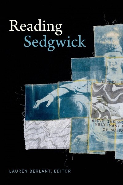 Reading Sedgwick (Hardcover)