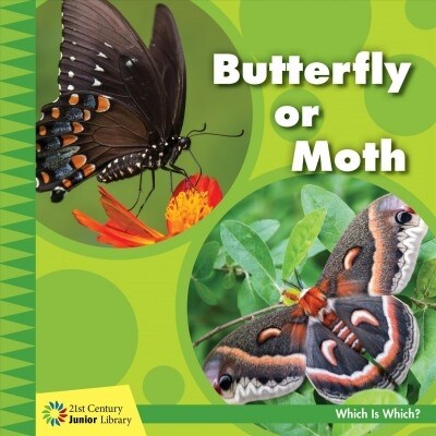 Butterfly or Moth (Paperback)