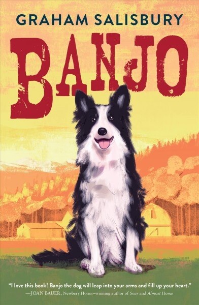 Banjo (Hardcover)