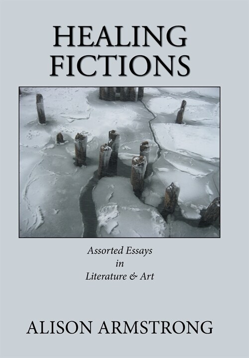 Healing Fictions: Assorted Essays on Literature & Art (Hardcover)