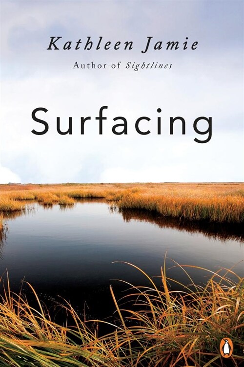 Surfacing (Paperback)