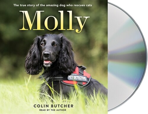 Molly: The True Story of the Amazing Dog Who Rescues Cats (Audio CD)