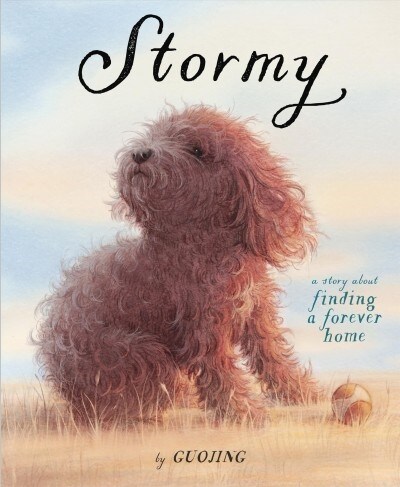 Stormy: A Story about Finding a Forever Home (Hardcover)