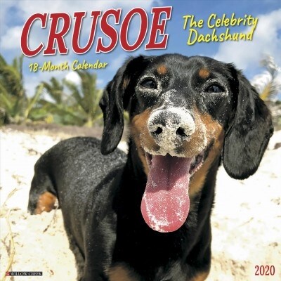 Crusoe the Celebrity Dachshund 2020 Wall Calendar (Dog Breed Calendar) (Wall)