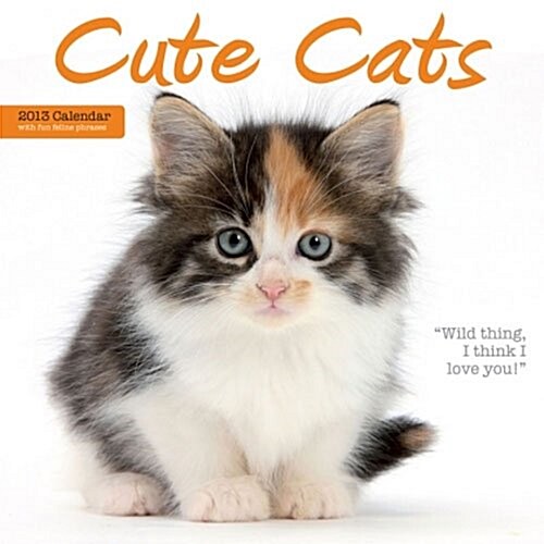 Cute Cats Wall (Paperback)