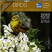 RSPB Birds Wiro Wall 2013 (Paperback)