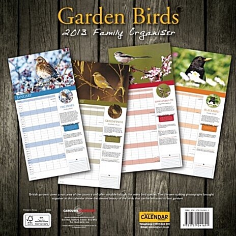 Garden Birds Wall (Paperback)