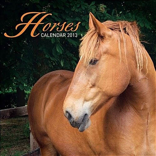 Horses Wall (Paperback)