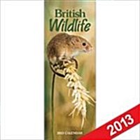British Wildlife (Paperback)