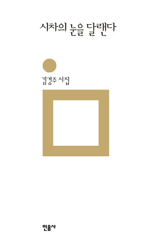 시차의 눈을 달랜다 - 민음의 시 160