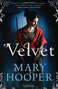 Velvet (Paperback)