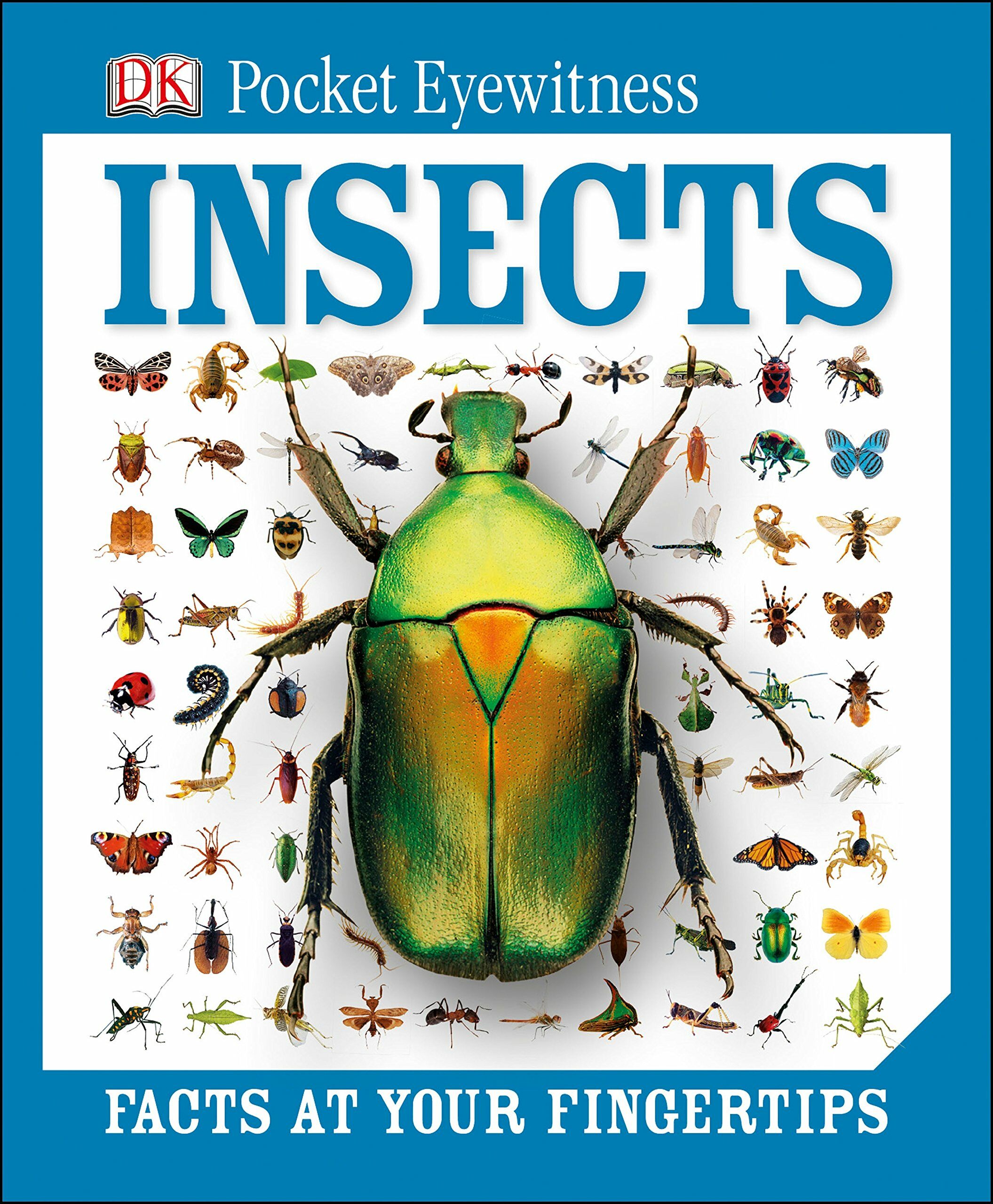 DK Pocket Eyewitness : Insects (Hardcover)