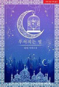 [세트] 부서지는 별 (총2권/완결)