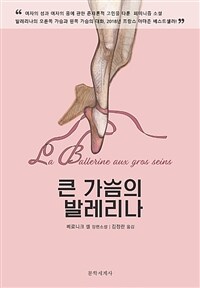 큰 가슴의 발레리나 :베로니크 셀 장편소설 