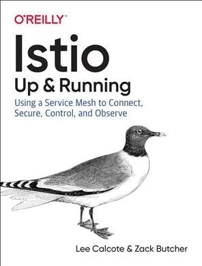 Istio: Up and Running: Using a Service Mesh to Connect, Secure, Control, and Observe (Paperback)