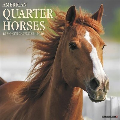 American Quarter Horses 2020 Wall Calendar (Wall)