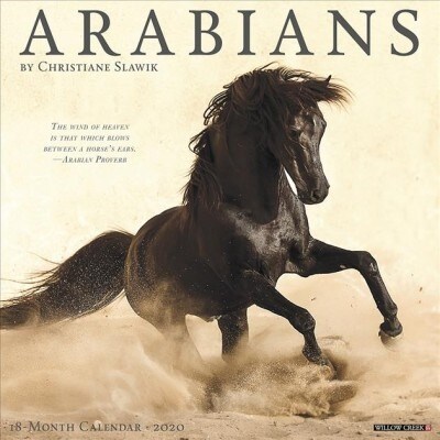 Arabians 2020 Wall Calendar (Wall)