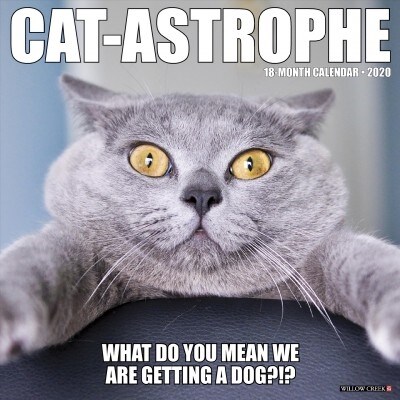 Cat-Astrophe 2020 Wall Calendar (Wall)