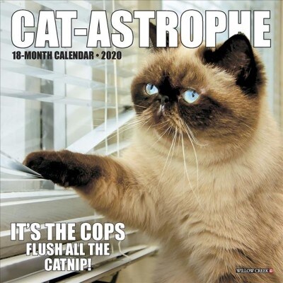 Cat-Astrophe 2020 Mini Calendar (Mini)