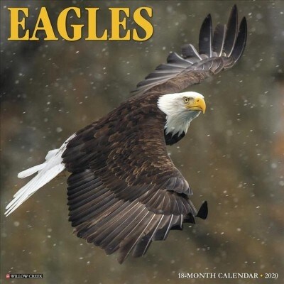 Eagles 2020 Wall Calendar (Wall)