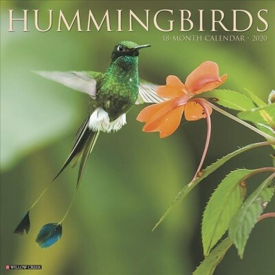 Hummingbirds 2020 Wall Calendar (Wall)