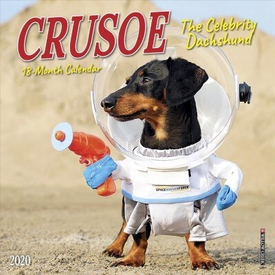 Crusoe the Celebrity Dachshund 2020 Mini Wall Calendar (Dog Breed Calendar) (Mini)