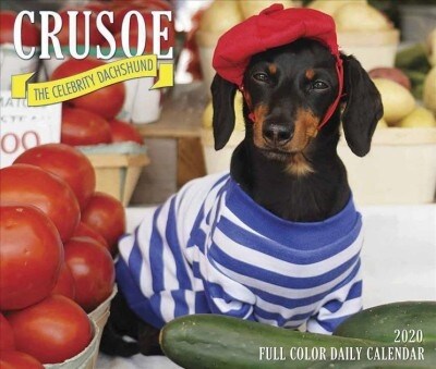 Crusoe the Celebrity Dachshund 2020 Box Calendar (Dog Breed Calendar) (Daily)