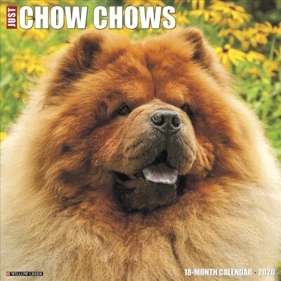 Just Chow Chows 2020 Wall Calendar (Dog Breed Calendar) (Wall)