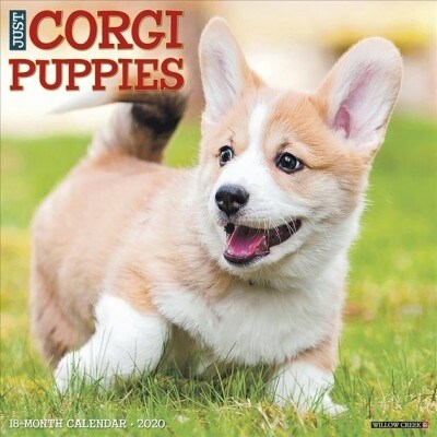 Just Corgi Puppies 2020 Wall Calendar (Dog Breed Calendar) (Wall)