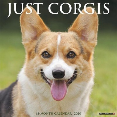 Just Corgis 2020 Wall Calendar (Dog Breed Calendar) (Wall)