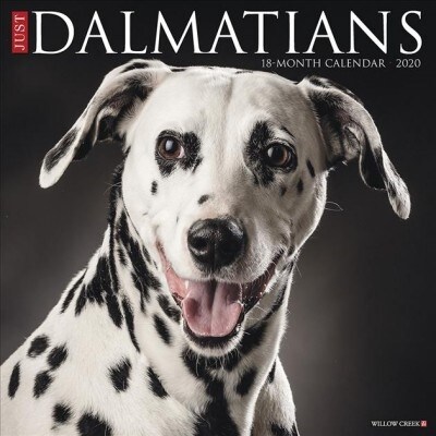 Just Dalmatians 2020 Wall Calendar (Dog Breed Calendar) (Wall)