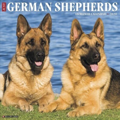 Just German Shepherds 2020 Wall Calendar (Dog Breed Calendar) (Wall)