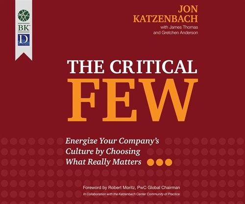 The Critical Few: Energize Your Company碍s Culture by Choosing What Really Matters (MP3 CD)