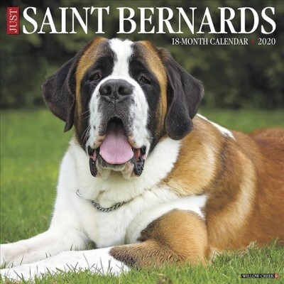 Just Saint Bernards 2020 Wall Calendar (Dog Breed Calendar) (Wall)