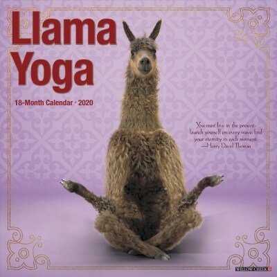 Llama Yoga 2020 Wall Calendar (Wall)