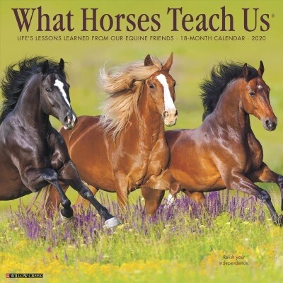 What Horses Teach Us 2020 Wall Calendar (Wall)