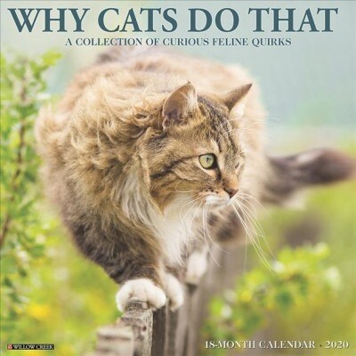 Why Cats Do That 2020 Wall Calendar (Wall)