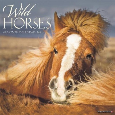 Wild Horses 2020 Calendar (Calendar, Wall)