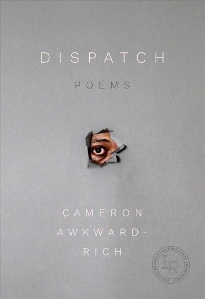 Dispatch: Poems (Paperback)